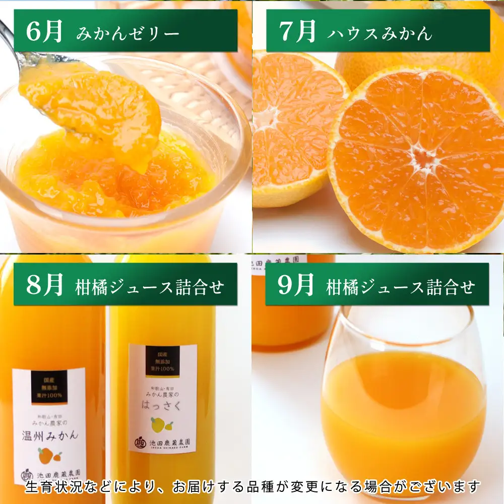 家庭用 柑橘定期便M（毎月）全12回 ［IKE307］