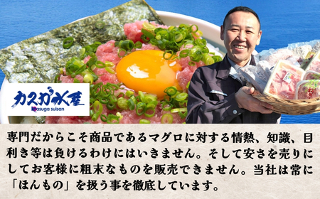 カスガのひゅうが丼（マグロ 漬け丼）120g×8P | 津久見市
