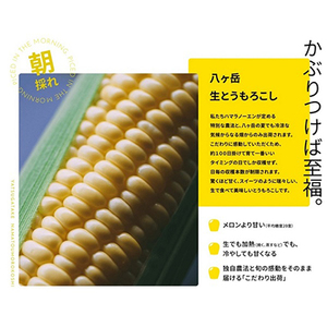 【訳あり】朝採れ 八ヶ岳生とうもろこし はねだし10本(約3kg)〈26年7月～9月下旬発送予定〉【配送不可地域：離島】【1678265】