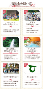 全て手仕事で仕込んだ　天龍村特産 信州熟成ゆず胡椒 [赤] 4個セット
