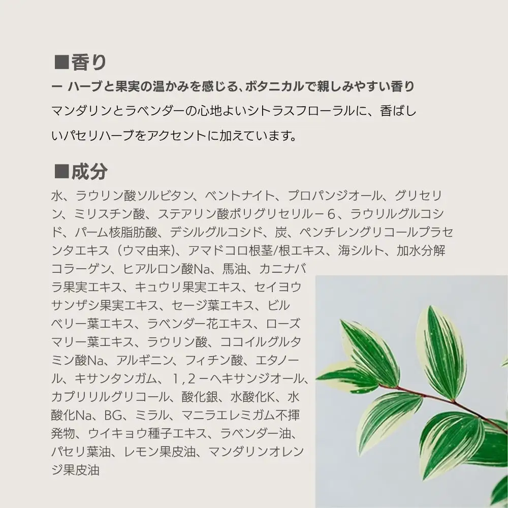 【sunao】京の拘りスキンケア クロウォッシュ 120g｜京都 自然素材 クレンジング スキンケア用品 洗顔 人気