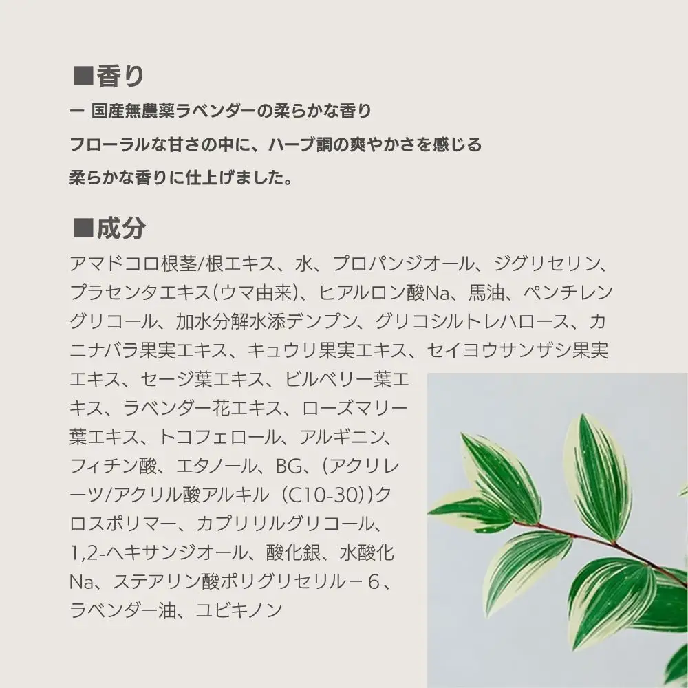 【sunao】京の拘りスキンケア リバースジェル 75g｜京都 自然素材 オールインワン スキンケア用品 人気