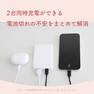 Owltech(オウルテック) 5000mAh 最大12W入出力対応 USB Type-C入出力／USB Type-A出力 モバイルバッテリー OWL-LPB5028-WH ホワイト【 神奈川県 海老名市 】