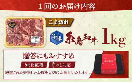 【全12回定期便】希少和牛！糸島和牛 こまぎれ 1kg 糸島市 / トラヤミートセンター 牛肉 黒毛和牛[AJD020]