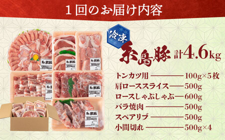 【全3回定期便】合計4.6kg！糸島豚食べ尽くしセット(とんかつ、肩ロース、しゃぶしゃぶ、豚バラ、スペアリブ、小間切れ) 糸島市 / トラヤミートセンター 豚肉 セット[AJD023]