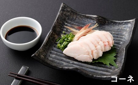 馬刺し 5種盛セット 約50g×5 （計約250g） （特赤身 ・ 赤身 ・ 中トロ ・ コーネ ・ ユッケ） タレ付き 5種類 馬刺 肉刺し 馬肉 お肉 肉 トロ たてがみ ヘルシー セット 九州 熊本県 熊本市 冷凍