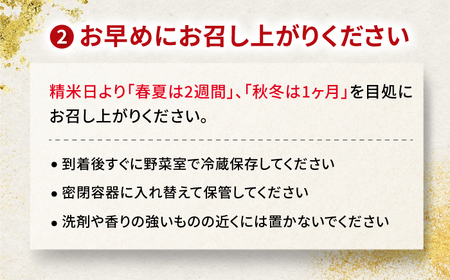 【3回定期便】【令和7年度産】白米ハツシモ 10kg 白米 10kg 白米定期便[ANHI005]