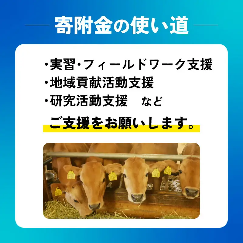 【返礼品なし/100,000円】高知大学 農林海洋科学部 支援事業(教育・研究・地域貢献を支える寄附)支援