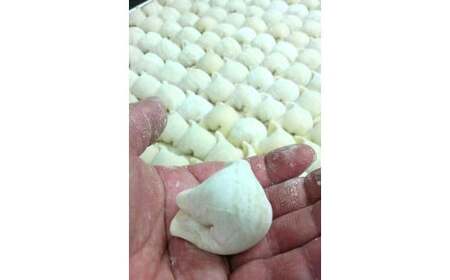 モチモチ食感！ 吉祥寺｢MATSUHIRO｣ 水餃子 計15個 15個入(375g)×1