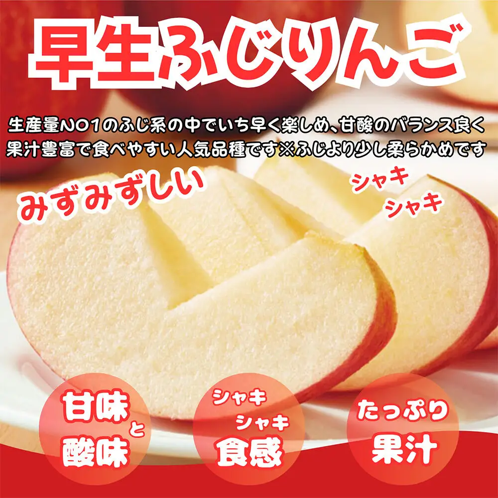 【26年10月中旬～11月下旬発送】りんご 早生ふじ 約10kg【訳あり ご家庭用】青森県産 青森 果物 フルーツ 林檎 リンゴ くだもの 弘前市