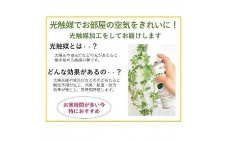 【完成品】 春のミモザイエローが人気！ ｢ミモザリース｣