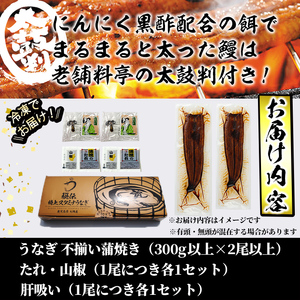 【訳あり】鹿児島県産！秘伝のスタミナうなぎ蒲焼き＜計300g以上/2尾以上＞肝吸いセット！ にんにく黒酢パワーで丸々太った美味しい鰻！ うなぎ ウナギ 鰻 蒲焼き スタミナ 黒酢 ニンニク 不揃い 鹿児島 肝吸い a5-350