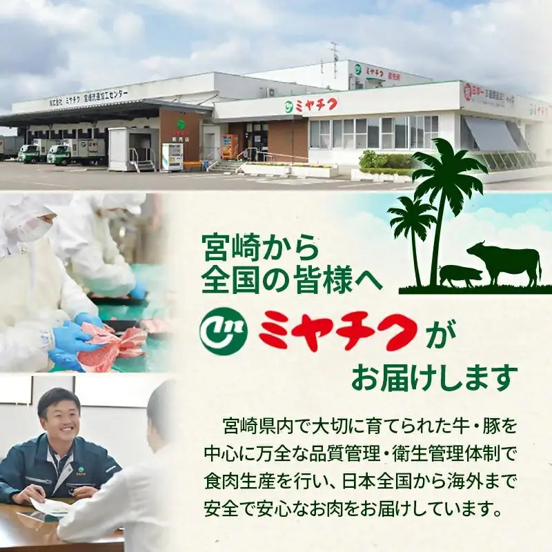 宮崎牛 赤身焼肉600g A4～A5等級 ミヤチク BBQ 牛肉＜47-7b＞●