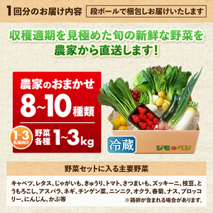 b120-043　【定期便 全12回】ジモベジ 野菜 セット