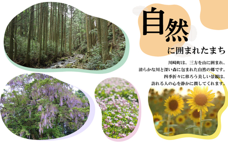 もつ鍋 味噌｜もつ鍋 KMI