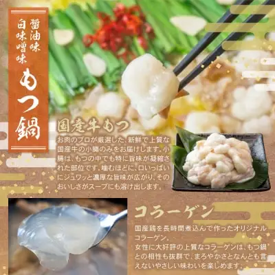 Z08-33 寄附額改定↓↓ 博多名物よりどり鍋セット(水炊き2～3人前・もつ鍋 醤油・白味噌各2人前) 水炊き もつ鍋