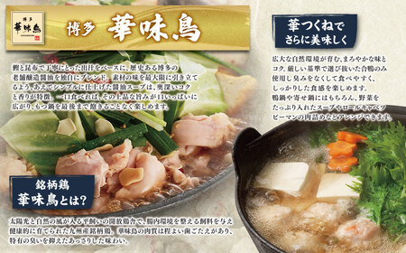 Z08-34 寄附額改定↓↓ 博多もつ鍋食べ比べ3種セット（醤油味2-4人前） 【おおやま/2人前・上田商店/2人前・華味鳥/3-4人前】 もつ鍋