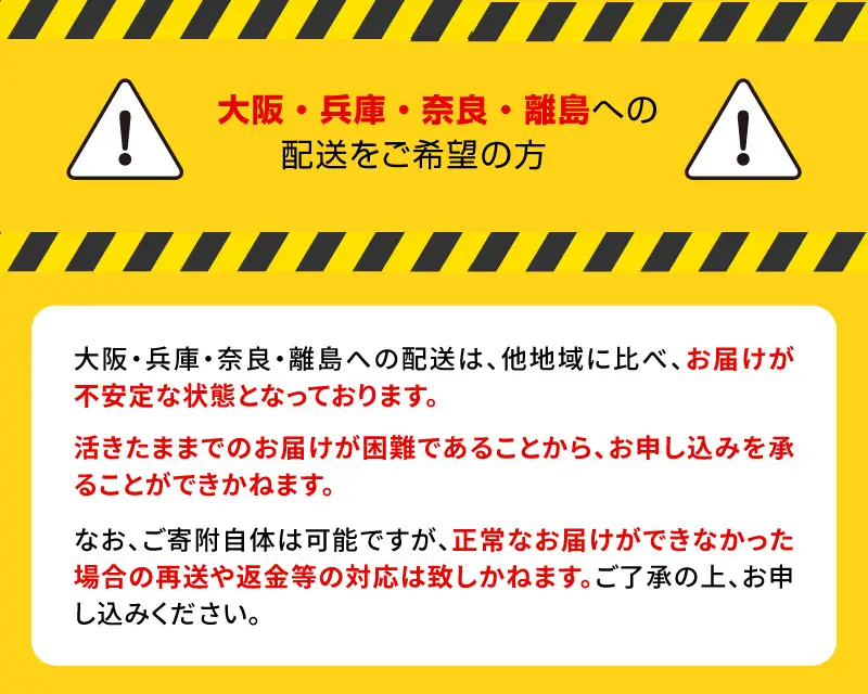 S010-008_活き車海老「やまと車海老」1kg〈先行予約〉　/ 車エビ 車海老 エビ えび