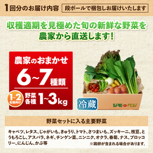 a23-038d　【定期便 全3回】ジモベジ 野菜 ハーフセット
