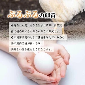 匠の卵 20個(割れ玉補償２個）7％の卵 | たまご　卵　玉子　鶏卵　生卵　プレミアム　優秀賞　愛知県　美浜町　国産　産直　卵黄　卵かけご飯
