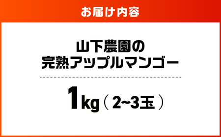 【 2026年 先行予約 】 甘い香り の 贈り物 ！ 山下農園 の 完熟アップルマンゴー 1kg （ 2～3玉 ） W063-003-01 期間限定 果物 マンゴー