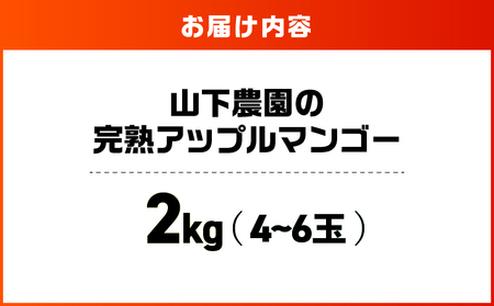 【 2026年 先行予約 】 甘い香り の 贈り物 ！ 山下農園 の 完熟アップルマンゴー 2kg （ 4～6玉 ） W063-003-02 期間限定 果物 マンゴー