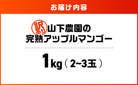 【 2026年 先行予約 】【 訳あり 】 甘い香り の 贈り物 ！ 山下農園 の 完熟アップルマンゴー 1kg （ 2～3玉 ） W063-004-01 わけあり 期間限定 果物 マンゴー