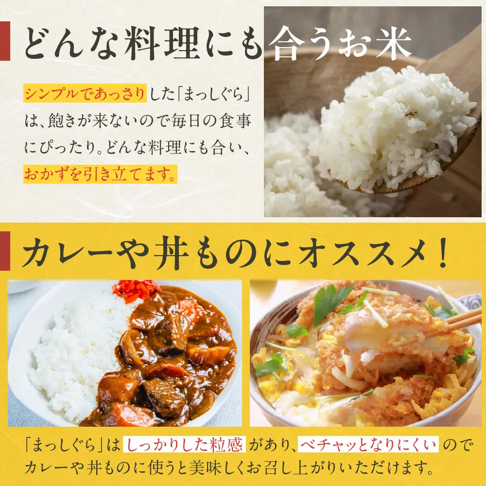 【6月後半発送】令和7年産 無洗米 5kg まっしぐら 5キロ 青森県産