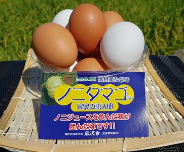 信州ノニタマゴ　茶玉３０個 