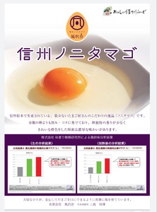 【４ヵ月定期配送】信州ノニタマゴ　茶玉３０個 