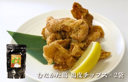 【道の駅むなかた】むなかた鶏シリーズ 鶏づくしセット（計1.3kg）_HA1837