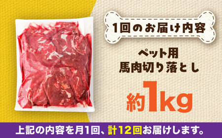 【全12回定期便】国内加工 ペット用 馬肉 切り落とし 約1kg ペット用 BHCY056