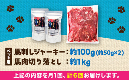 【全6回定期便】詰め合わせ 国内加工 ペット用 馬肉 切り落とし 約1kg ペット用 馬刺しジャーキー 約100g BHCY067