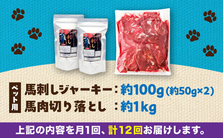 【全12回定期便】詰め合わせ 国内加工 ペット用 馬肉 切り落とし 約1kg ペット用 馬刺しジャーキー 約100g BHCY068
