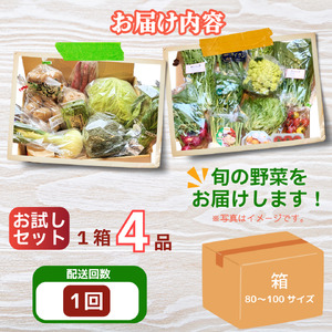 野菜セット お試し 4品 野菜