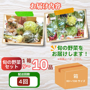 野菜セット 9〜10品 定期便 4回 野菜