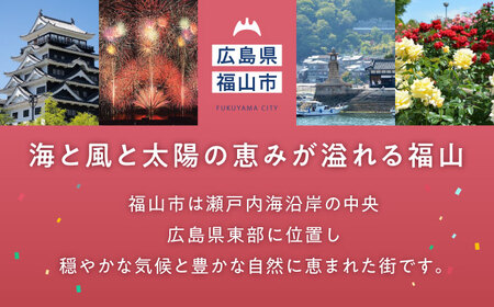 たたみ ばらの小畳（灰桜色×薔薇玉縁）ピンク 1枚 [BADP007]たたみ