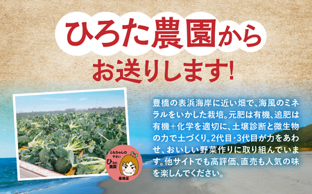 ブロッコリー 10本 豊橋 国産 ミネラルたっぷり 海風そだち 潮風 家族で 大容量 豊橋 ともちゃんのやさい 直売所で大人気！ 愛知県 豊橋市 安心野菜
