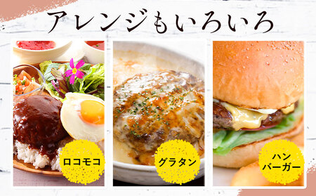 ハンバーグ 鉄板焼き 肉肉ハンバーグ 生ハンバーグ 食べ比べ 20個 《30日以内に出荷予定(土日祝除く)》熊本県 国産 豚肉 ハンバーグ 専門店監修 小分け 肉