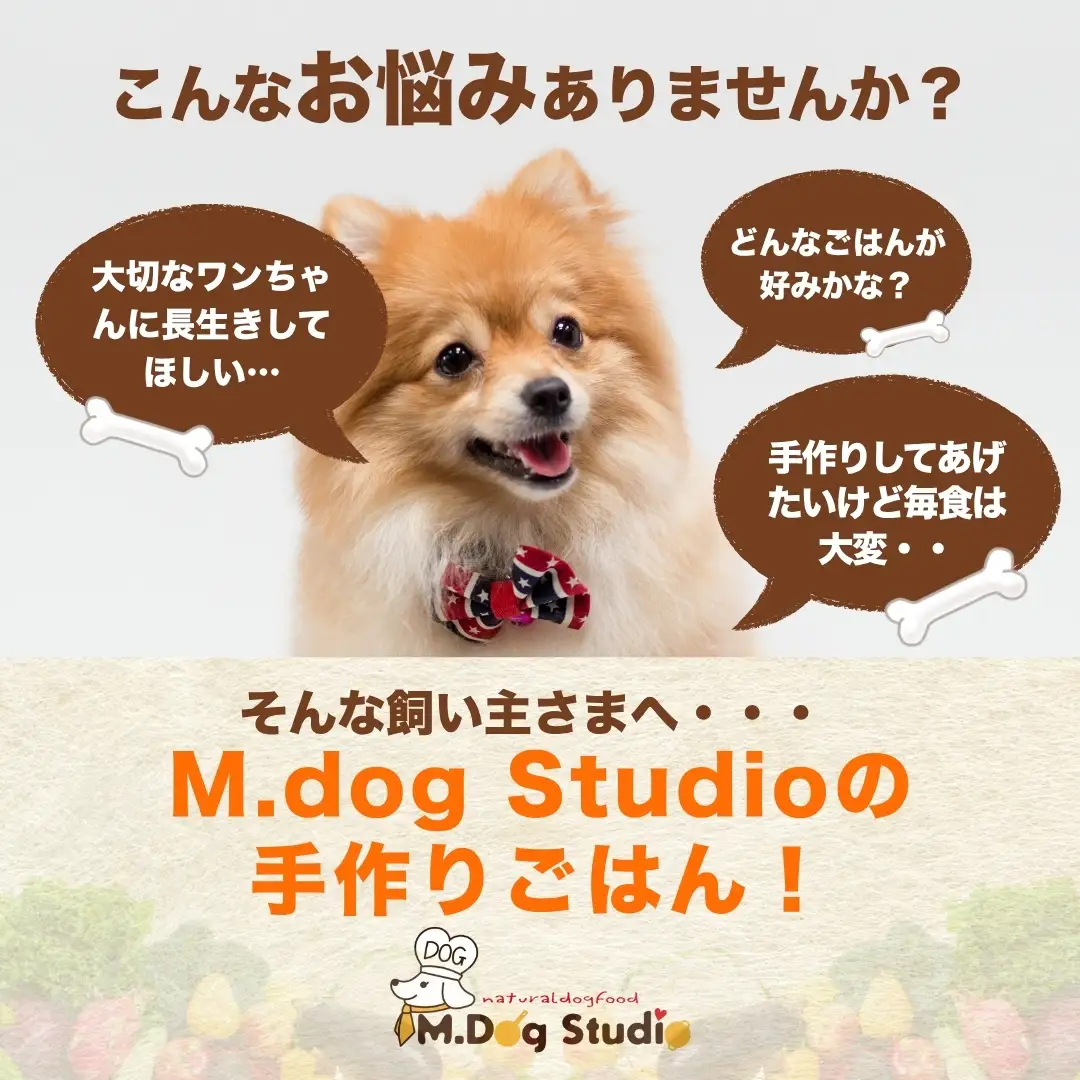 ドッグフード 手作りごはん定番人気3品セット 無添加・国産食材使用 | 新潟県 津南町 ドッグフード
