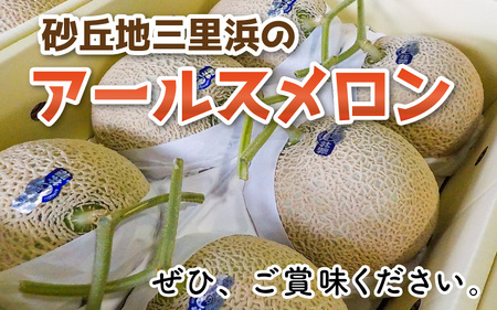 【先行予約】太陽サンサン砂丘地 三里浜のアールスメロン5玉（1玉あたり約1.7～2.0kg）【2026年9月上旬以降順次発送予定】 [B-8301]