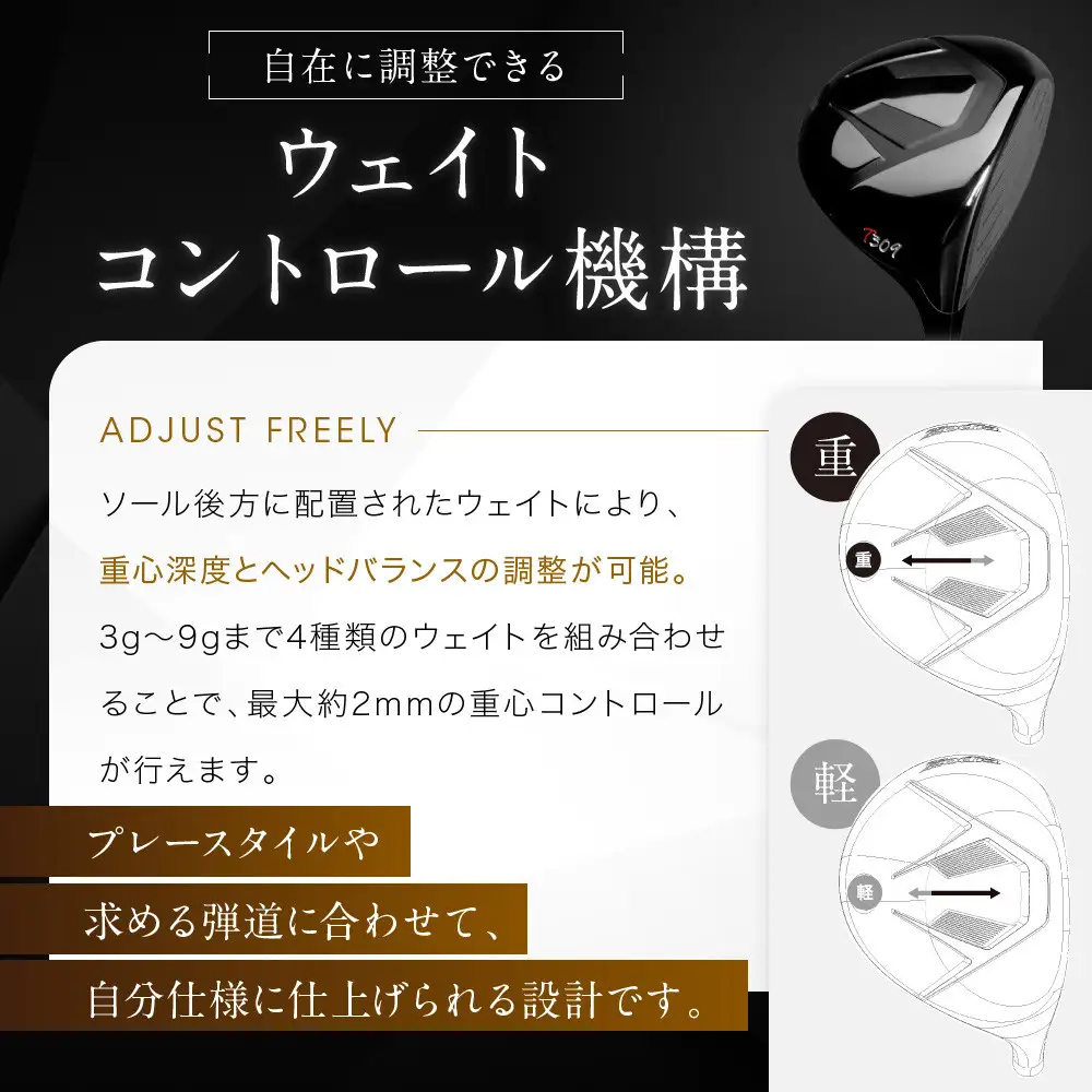 Zodia T309ドライバー　RODDIO社製Zodiaオリジナルシャフト60S