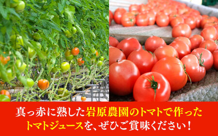 姫の100％完熟トマトジュース 180ml×12本 多治見市 / 岩原農園 トマト とまと トマトジュース 食塩砂糖不使用 無添加[TFP004]