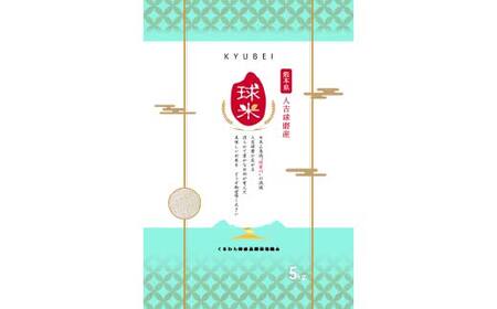 FKP9-682 【令和7年度産】人吉球磨産白米 ひのひかり・くまさんの輝き各5kg 新米 白米 精米 ふっくら 国産米 おすすめ 農家