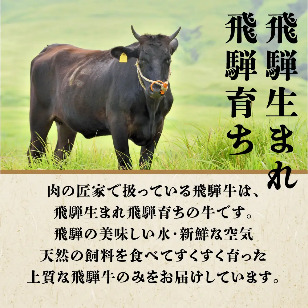 A5等級 飛騨牛 ロース 焼肉用 500g | 冷凍 化粧箱入 黒毛和牛 肉 牛肉 飛騨高山 肉の匠家 BV015