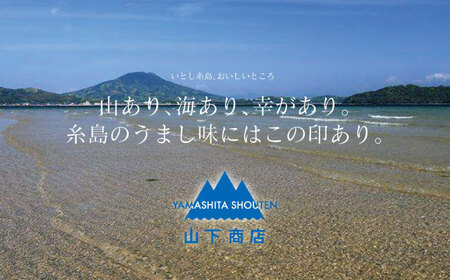 【大容量サイズ】 いとしま 干しわかめ 糸島市 / 山下商店【いとしまごころ】 乾物 乾燥わかめ[ANA037]