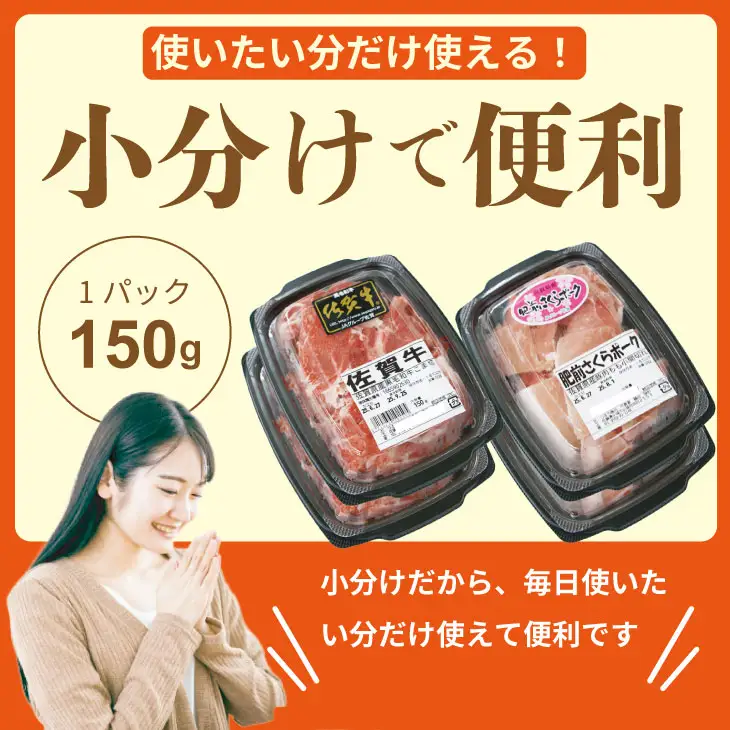 佐賀牛と肥前さくらポーク こま切れセット 600g こま切れ B100-030 