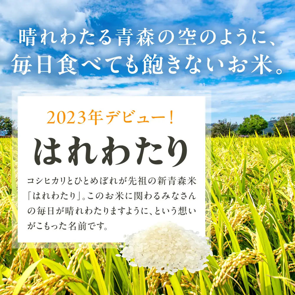 【6月後半発送】令和7年産 無洗米 5kg はれわたり 5キロ 青森県産 特A受賞歴