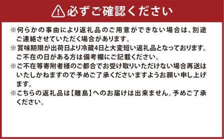 種無しぶどう詰合せ2房（合計1.2kg以上） シャインマスカット ニューピオーネ ぶどう 葡萄 ブドウ 果物 フルーツ 詰め合わせ セット 岡山県 倉敷市【2026年9月上旬～10月上旬まで順次発送予定】