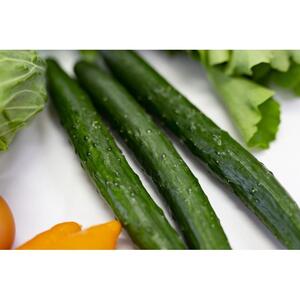 東京・八王子産　とれたて新鮮野菜＆卵の詰め合わせセット